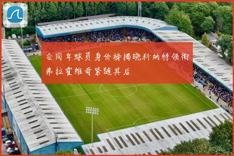 合同年球员身价榜揭晓科纳特领衔弗拉霍维奇紧随其后